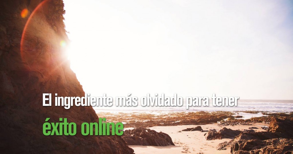 exito-online-marketing